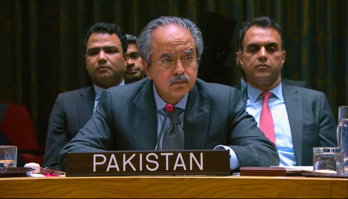 'Reform for All – Privilege for None': Pakistan outlines vision for UN Security Council reform